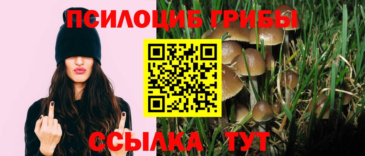 Псилоцибиновые грибы GOLDEN TEACHER  Вход с VPN  Галлюциногенные грибы ЛСД  Новочеркасск 